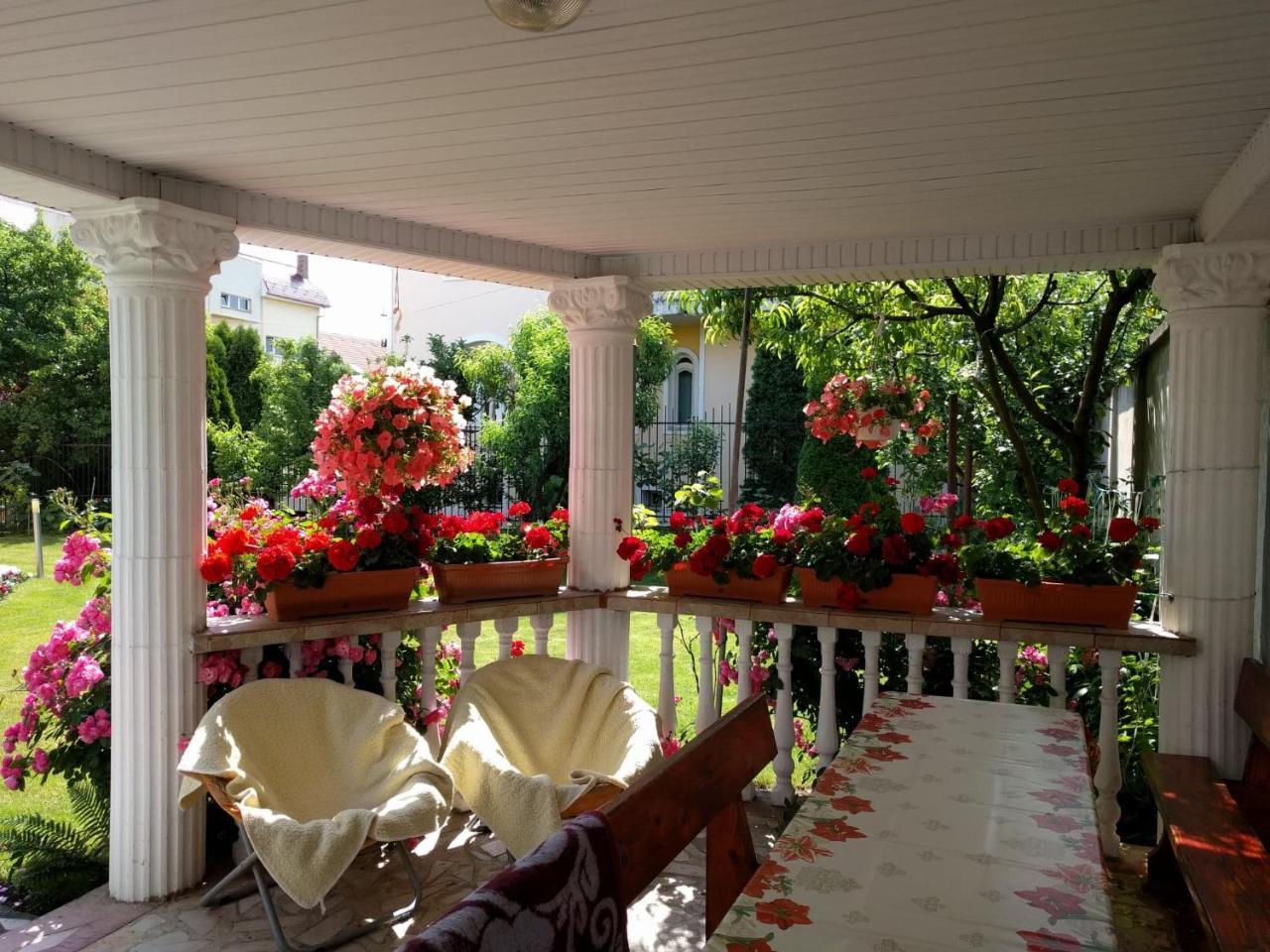 Casa Monica Hotel Băile Felix Екстериор снимка